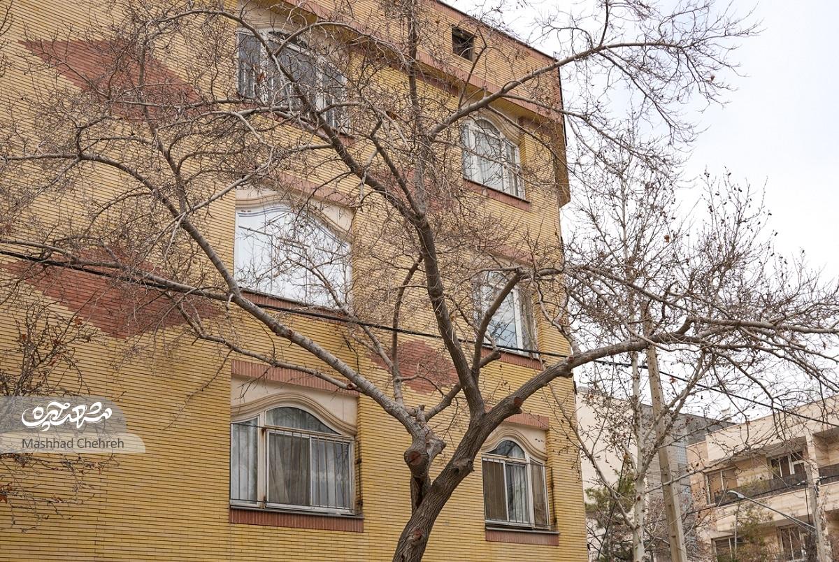 کوچه آموزش و ورزش در محله دانشآموز کوچه آموزش و ورزش در محله دانشآموز