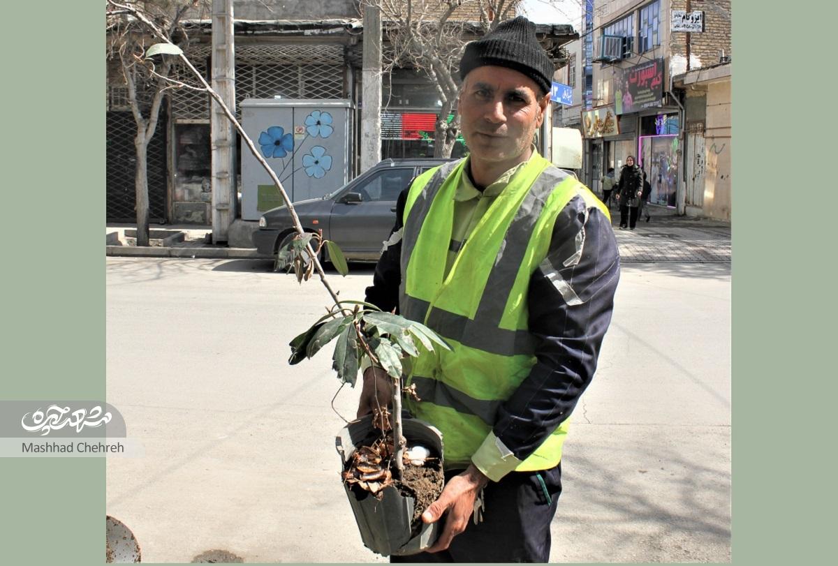 علی ارژندی سالی ۱۰۰ درخت کاشته است علی ارژندی سالی ۱۰۰ درخت کاشته است