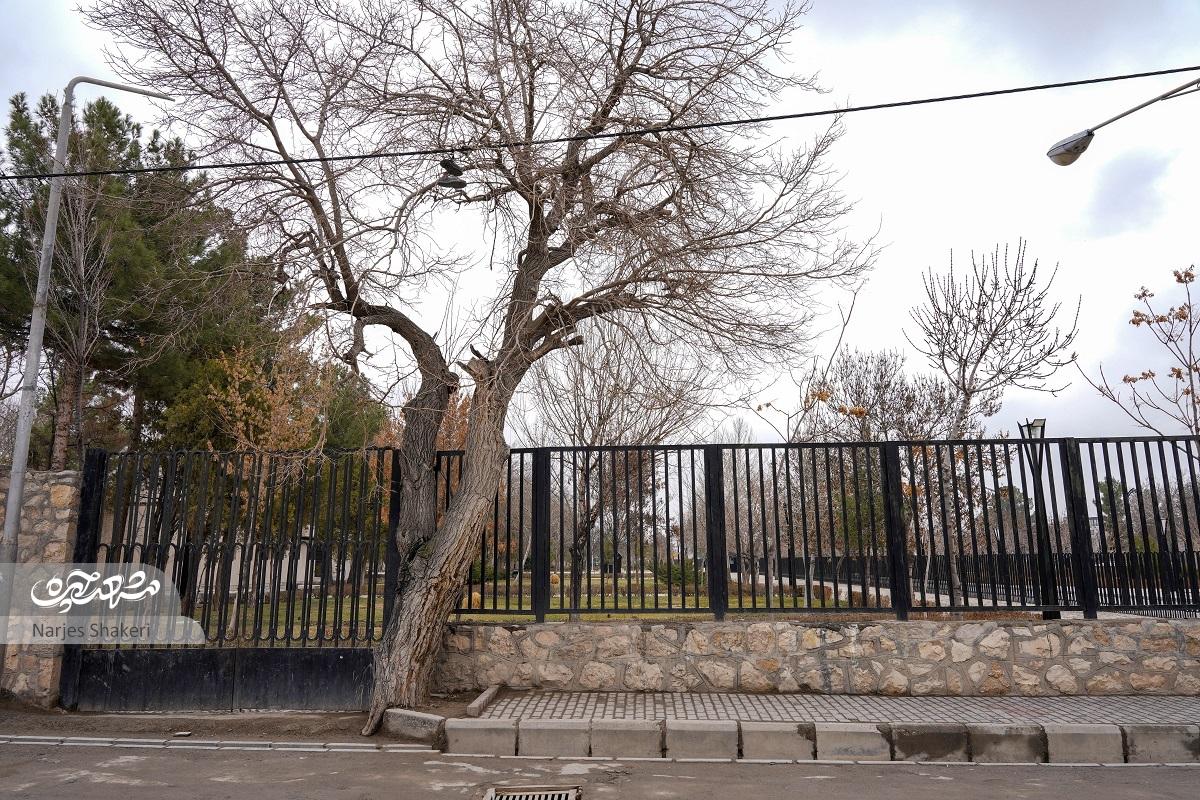 روزگار گذشته محله فردوسی در خاطرات مصطفی امامیان