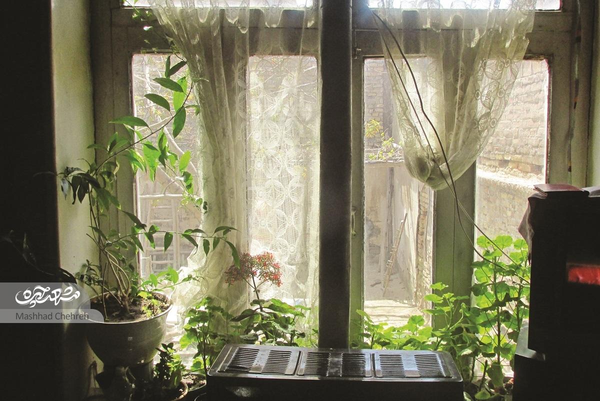 خانهِ جُنبان خیابان توحید مشهد