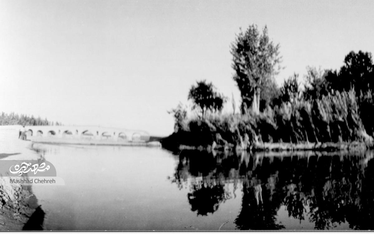 کشف جریان میلیون‌ها سال زندگی در رگ کشف‌رود