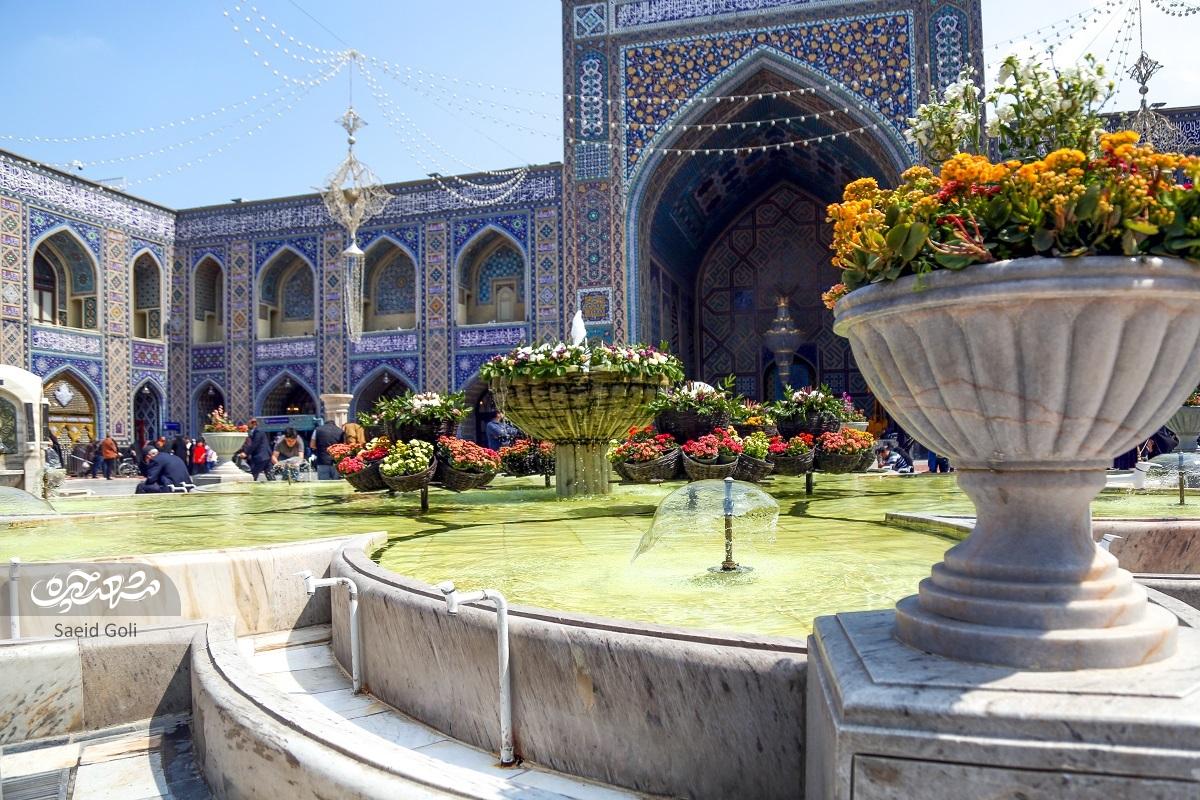 هنر دستم زیر پای زائر امام رضاست