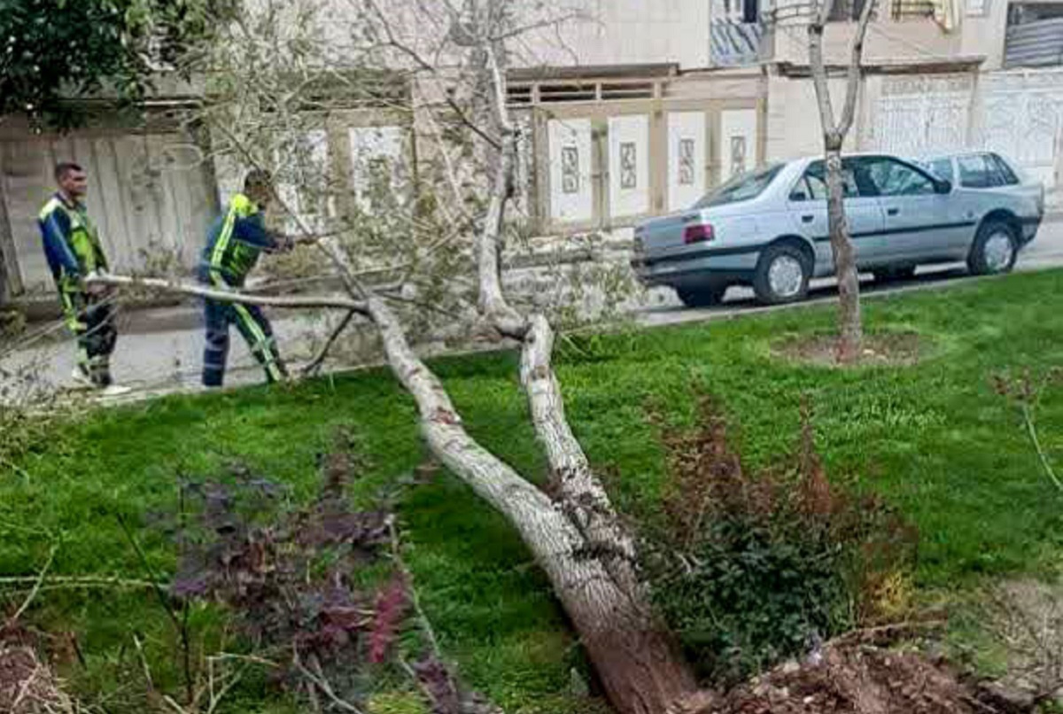 حال و هوای منطقه ۱ و ۲ در روزهای بارانی حال و هوای منطقه ۱ و ۲ در روزهای بارانی