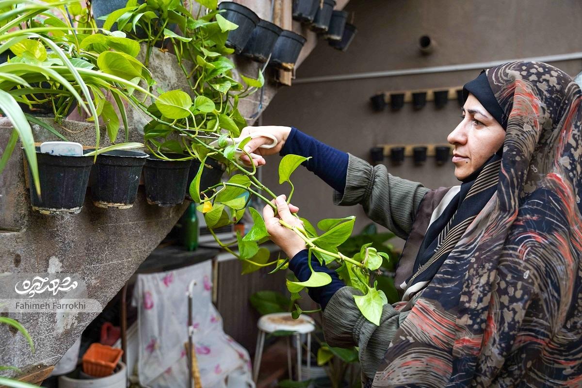 خانه و گلخانه زهرا کاهه بهانهای برای نشر همدلی خانه و گلخانه زهرا کاهه بهانهای برای نشر همدلی