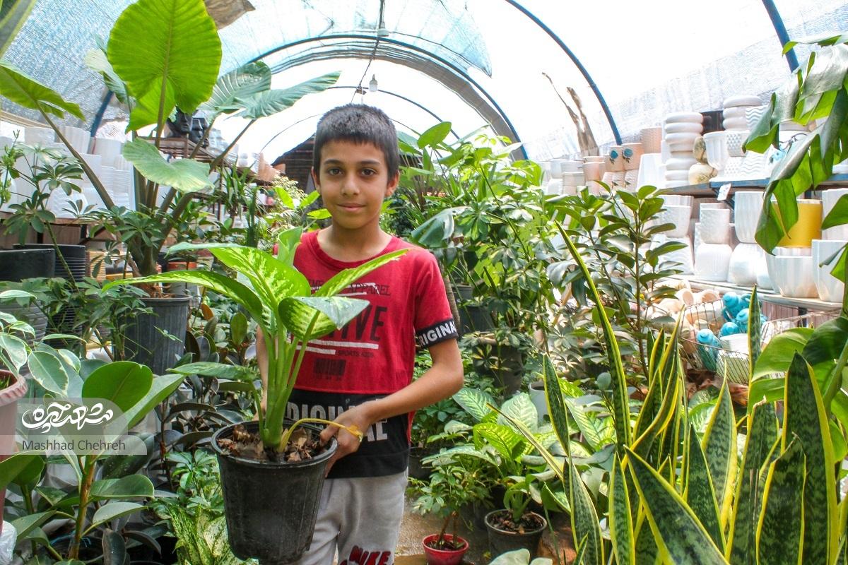 گشتی در کوچه‌باغ رده