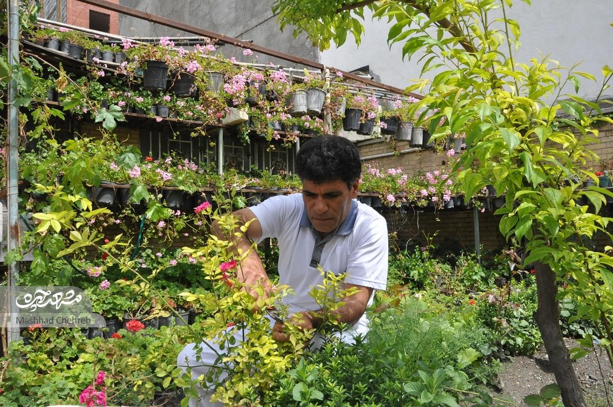 محمد سالاران حیاط خانه‌اش را به باغی از گل و گیاه تبدیل کرده است