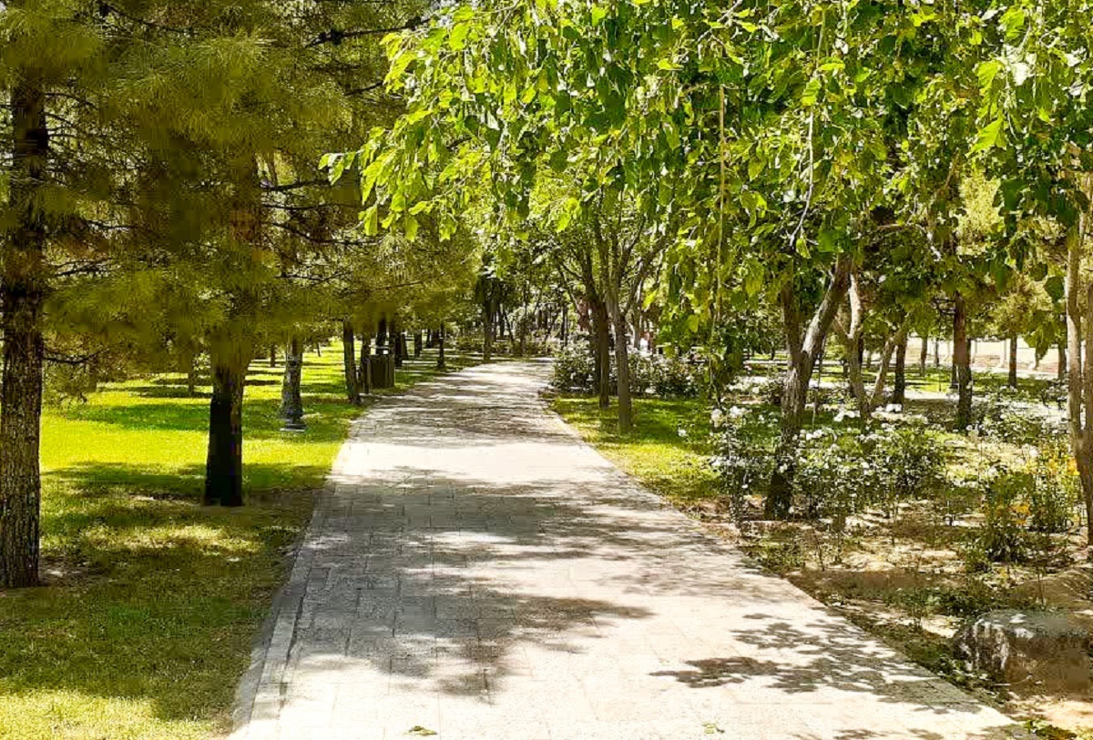 جای خالی سوپری و نانوایی در دلاوران ۱۳ جای خالی سوپری و نانوایی در دلاوران ۱۳