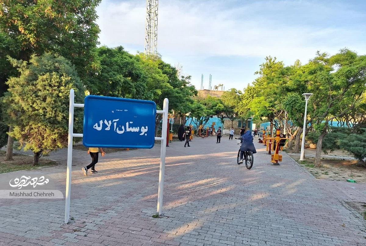 کوچه آلاله‌ در بهاران