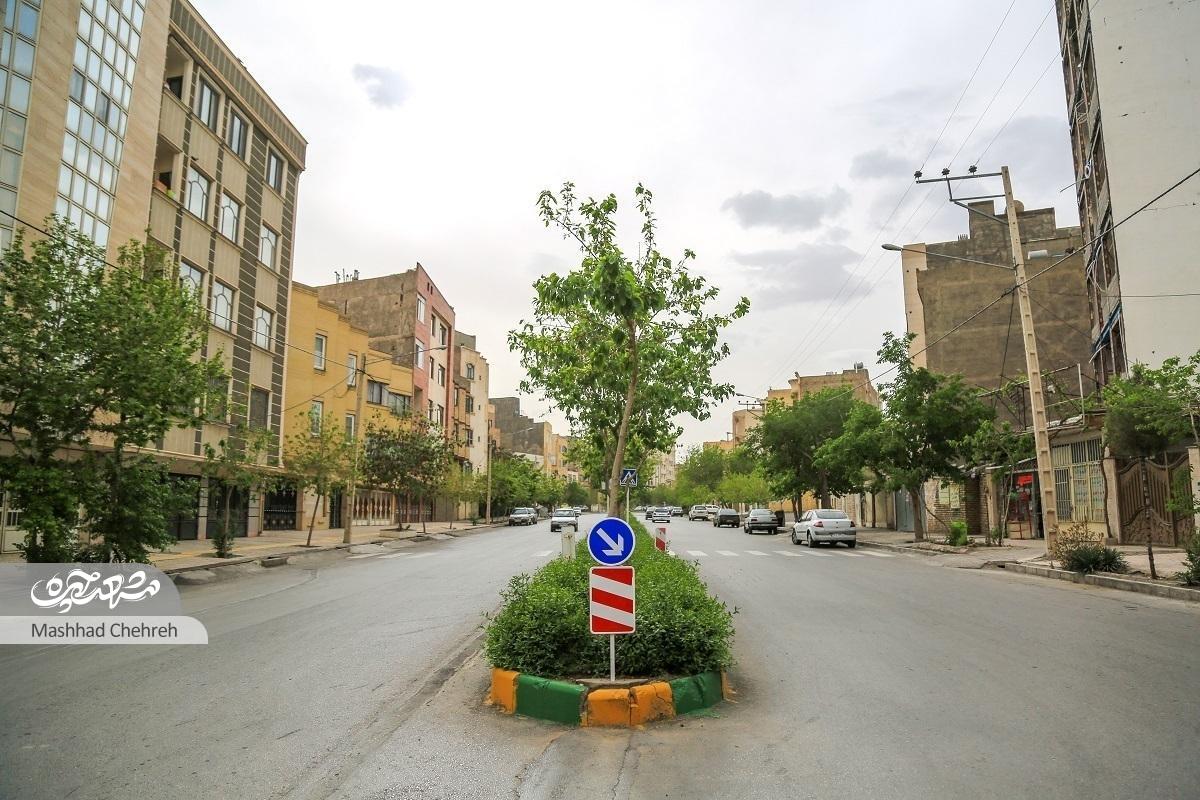 تربیت؛ محله دانشگاه پیامنوریها تربیت؛ محله دانشگاه پیامنوریها