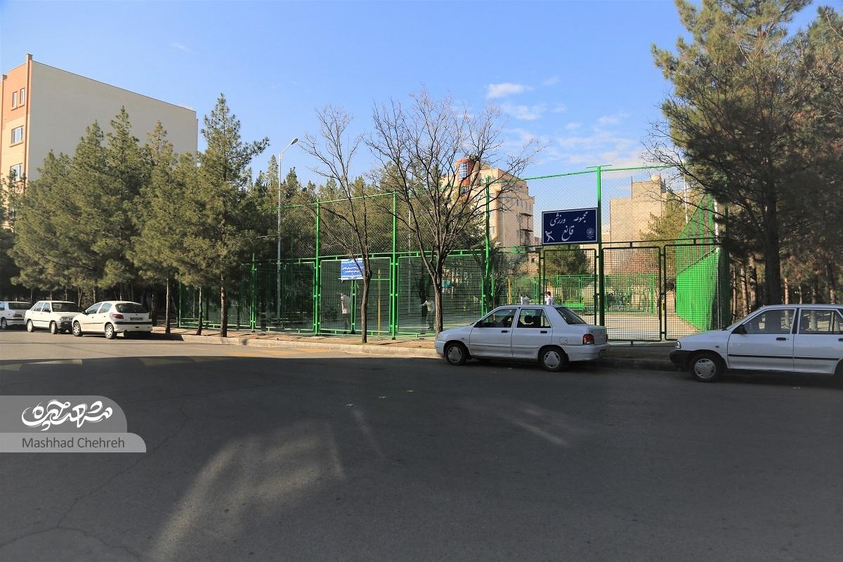 تربیت؛ محله دانشگاه پیامنوریها تربیت؛ محله دانشگاه پیامنوریها