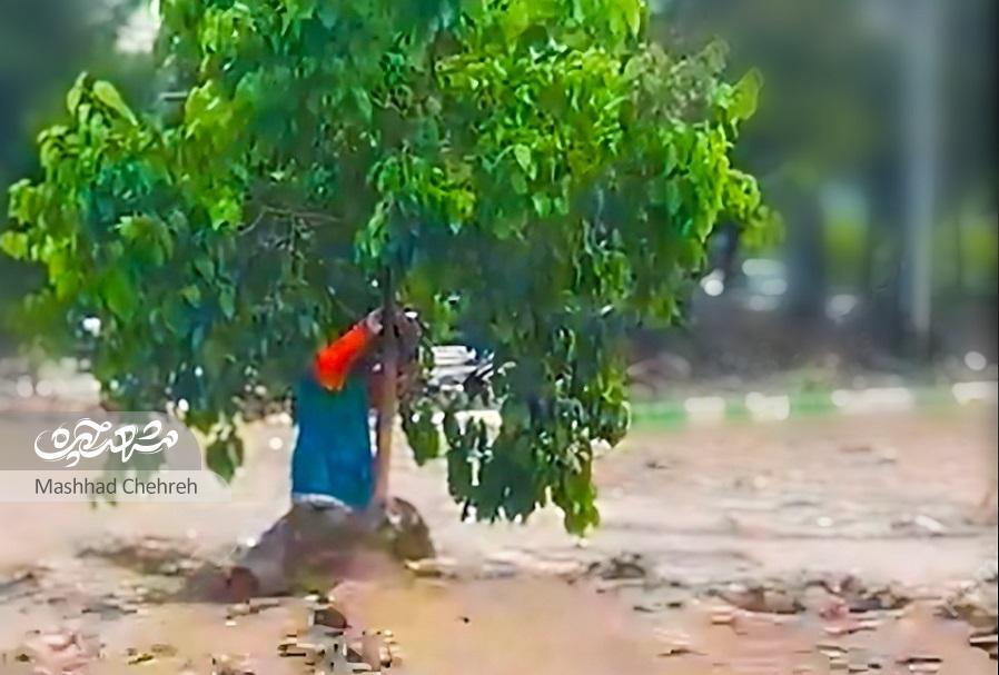 روایت ۲ ساعت اضطراب برای نجات جان پاکبان مشهدی گرفتار در سیل