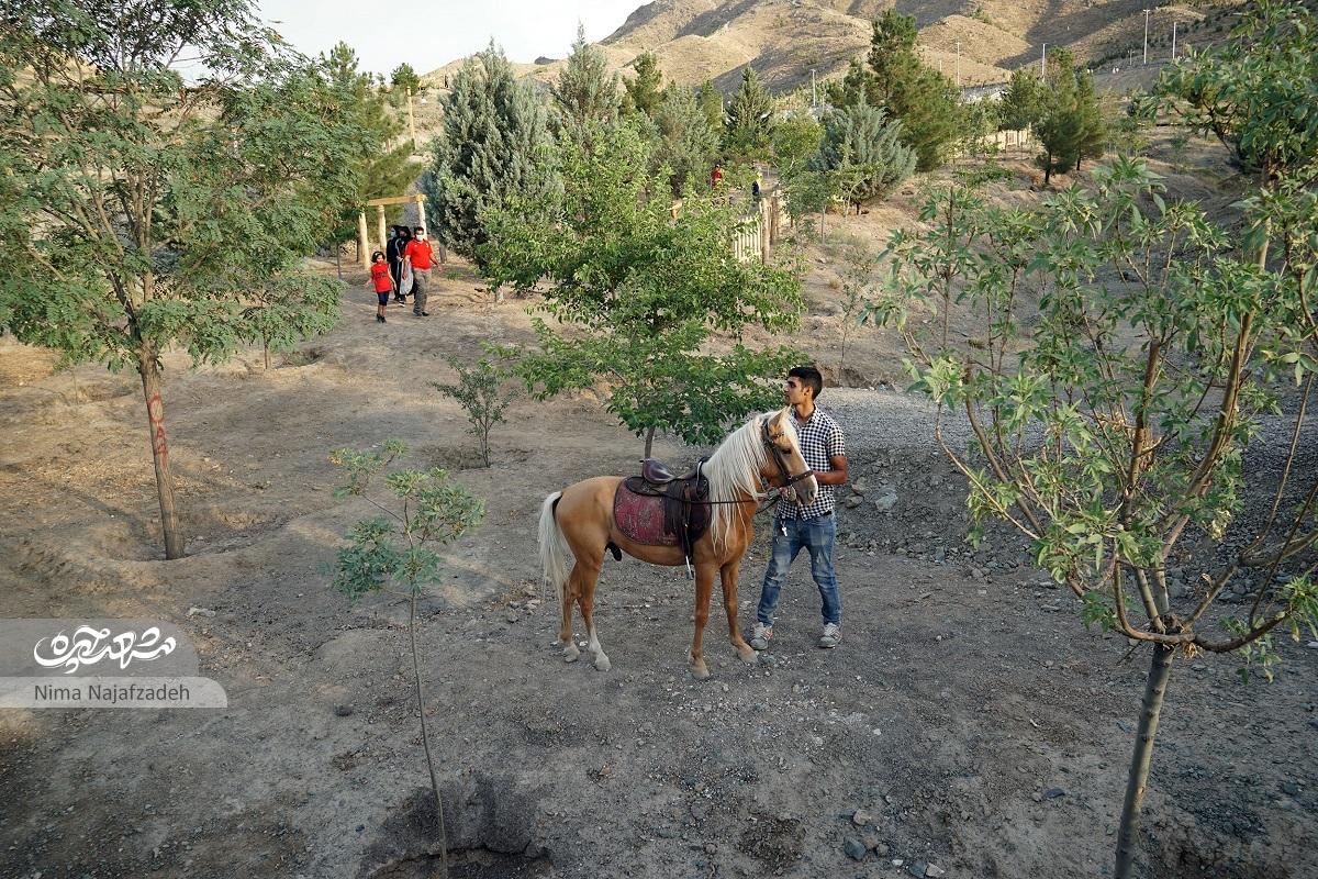 تجربه یک زیست متفاوت در زیستپارک تجربه یک زیست متفاوت در زیستپارک