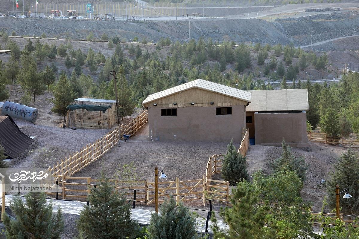 تجربه یک زیست متفاوت در زیستپارک تجربه یک زیست متفاوت در زیستپارک