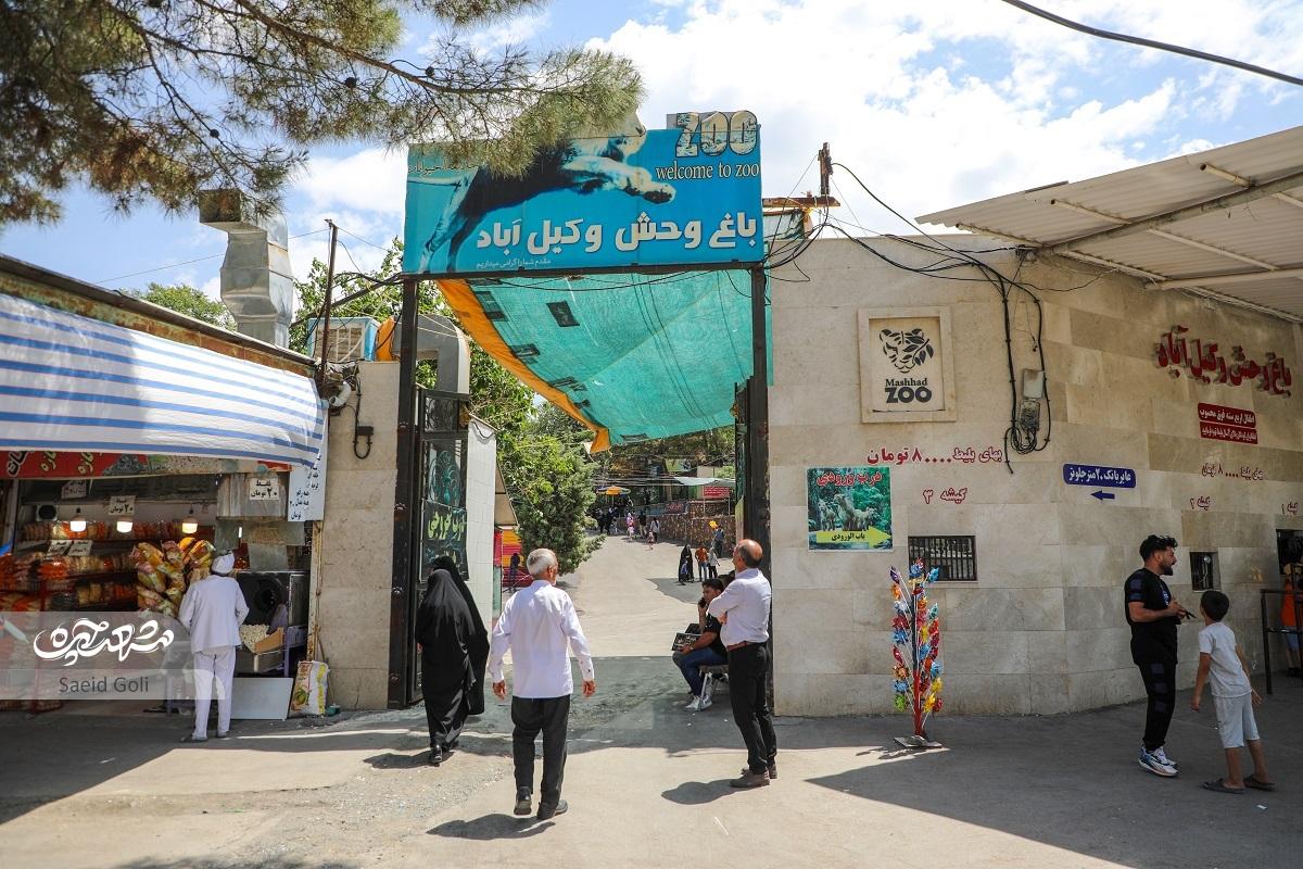 درباره وضعیت باغوحش مشهد که نمای بیرونیاش خوشایند نیست درباره وضعیت باغوحش مشهد که نمای بیرونیاش خوشایند نیست