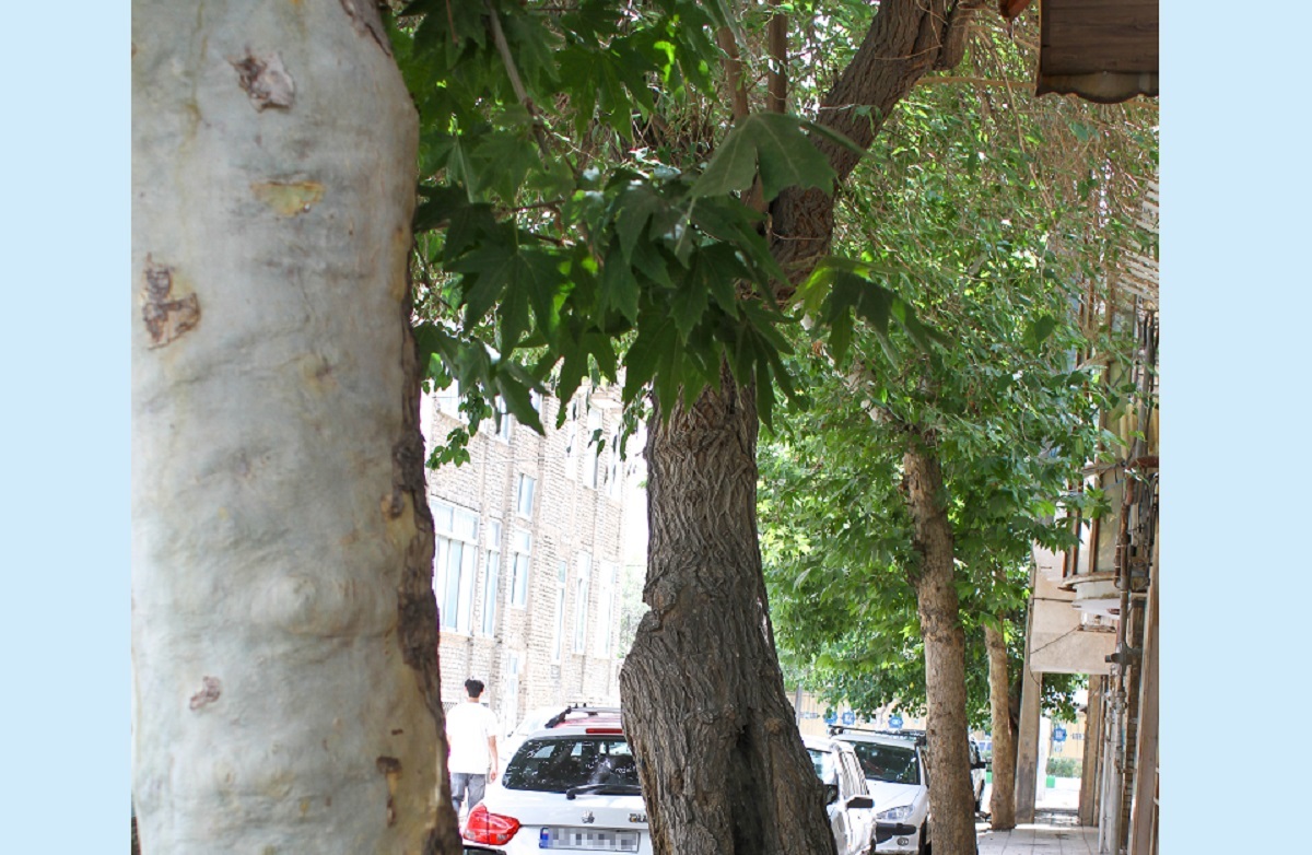 چهارده کوچه یک‌متری در میلان چهاردهم