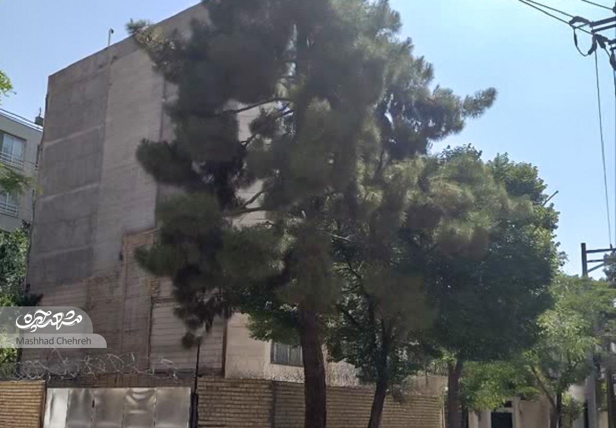 کوی رفتگران، «صفا»ی امروز