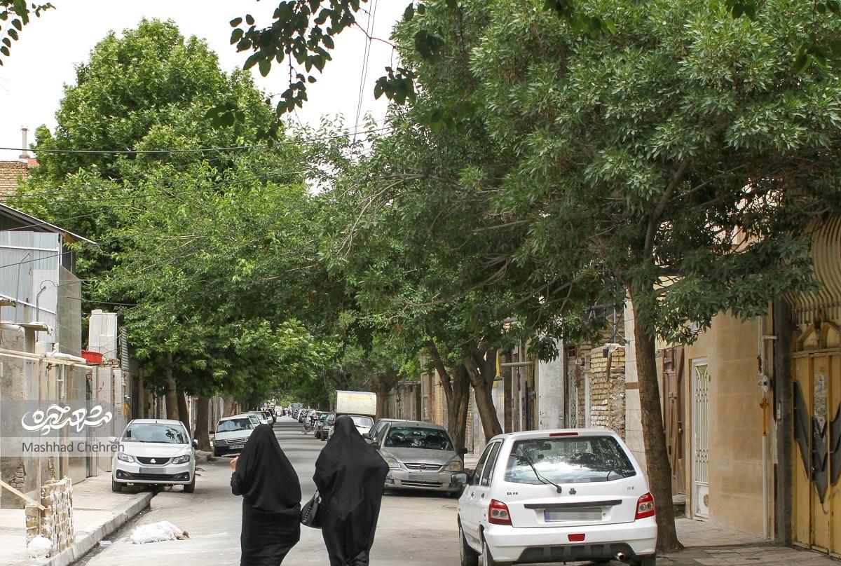 یاد شهدا در این کوچه سرسبز، سبز است یاد شهدا در این کوچه سرسبز، سبز است