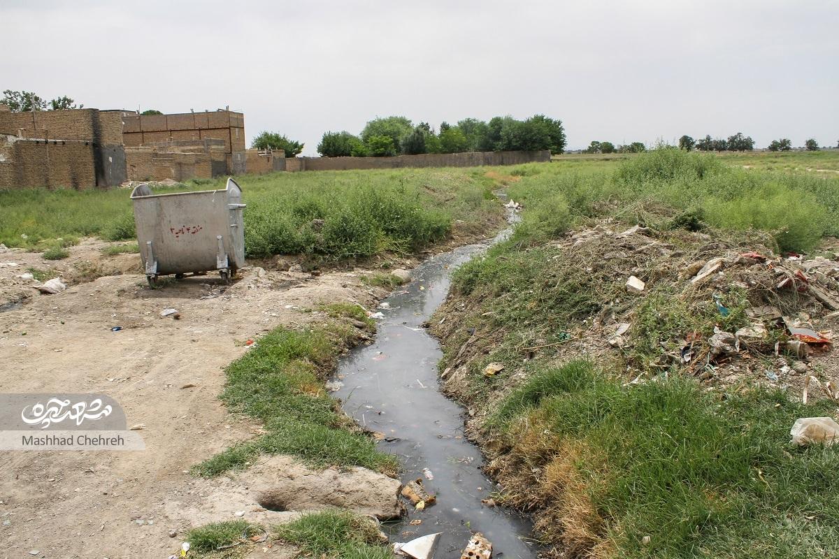 یاد شهدا در این کوچه سرسبز، سبز است یاد شهدا در این کوچه سرسبز، سبز است