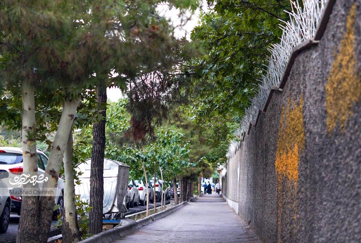 خیابان ویلایی آزادشهر خیابان ویلایی آزادشهر