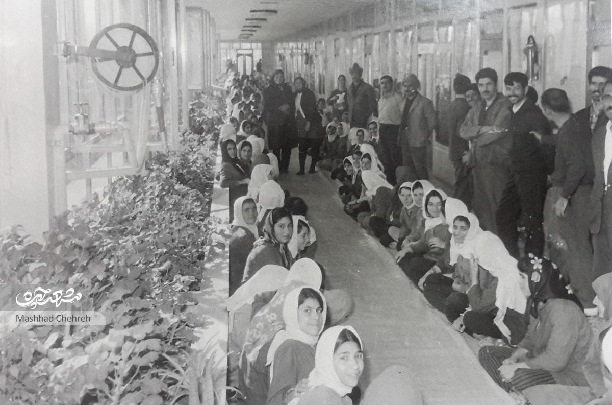 کارخانه نخریسی، غول ازپاافتاده صنعت و برق مشهد