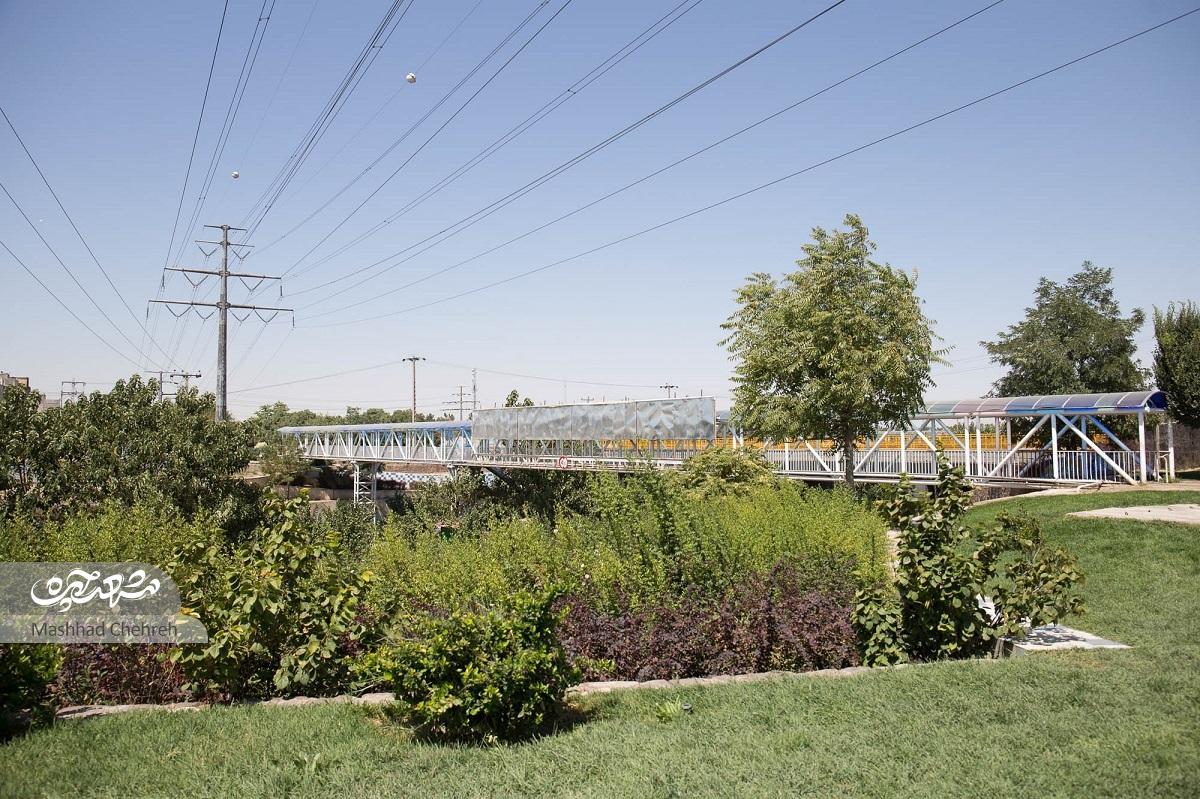 پُلی که بهجای عابرپیاده، موتورسواران از آن عبور میکنند پُلی که بهجای عابرپیاده، موتورسواران از آن عبور میکنند