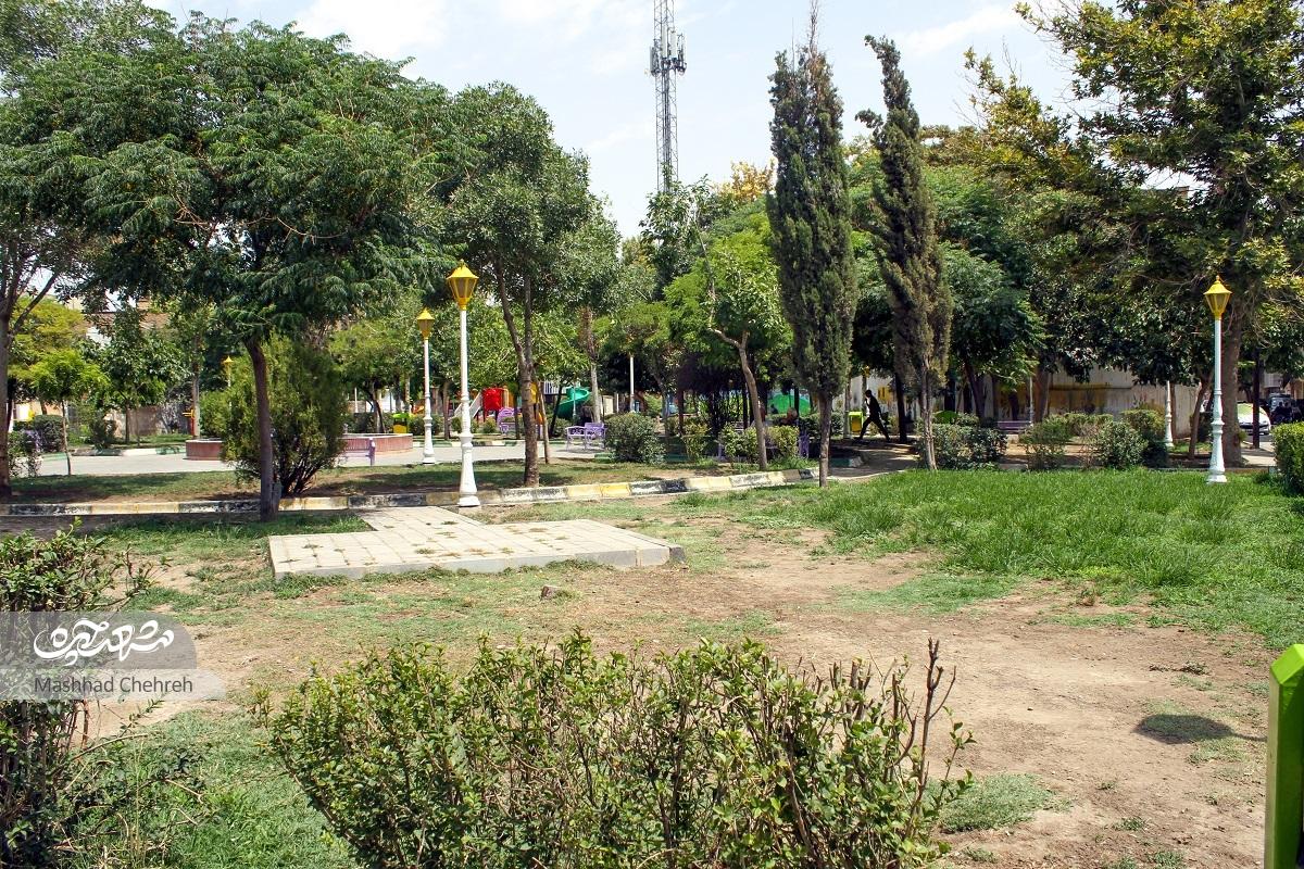 میزبان  «روضه محله» میزبان  «روضه محله»