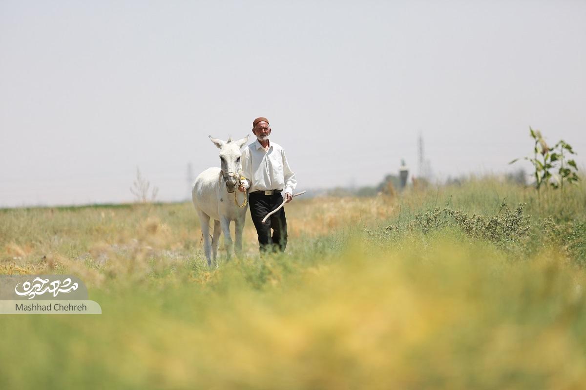 پدر شهید حسین ترابی تاریخ شفاهی محله طرق است پدر شهید حسین ترابی تاریخ شفاهی محله طرق است