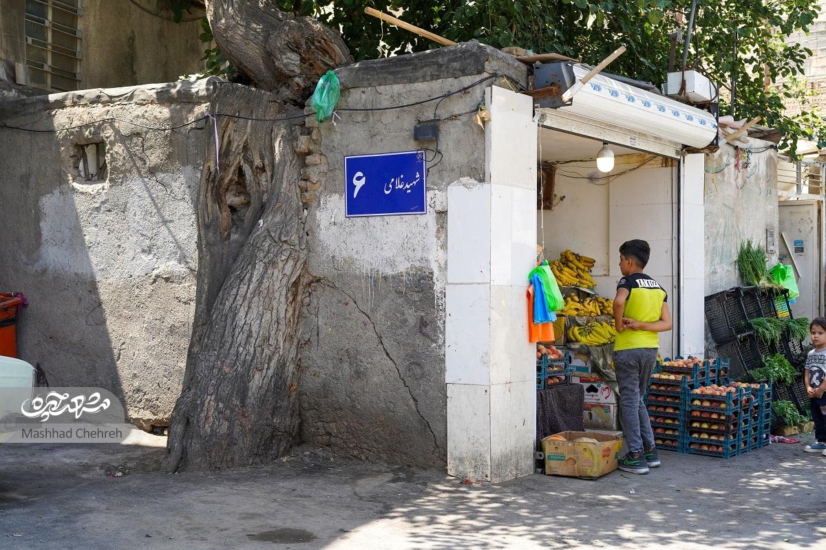 آقای شاعر؛ شاگرد کلاس اکابر ننه‌حیدر