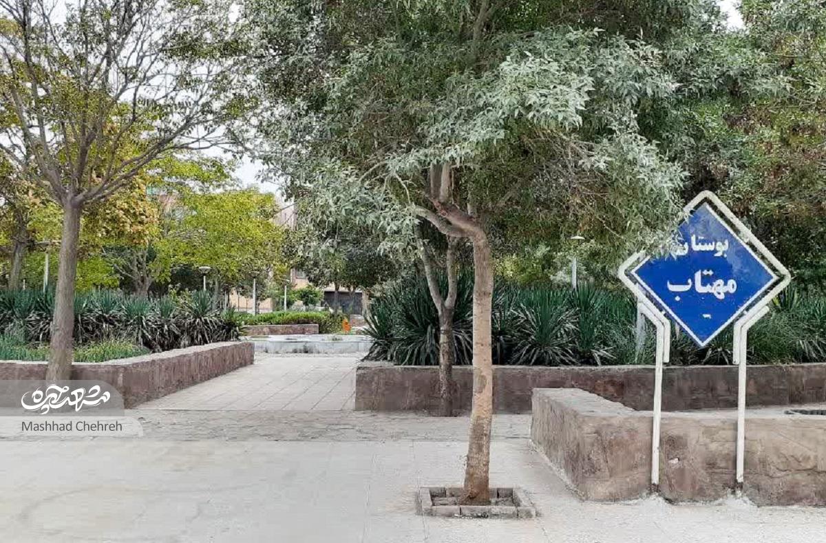 کوچه آپارتمان‌نشین‌ها