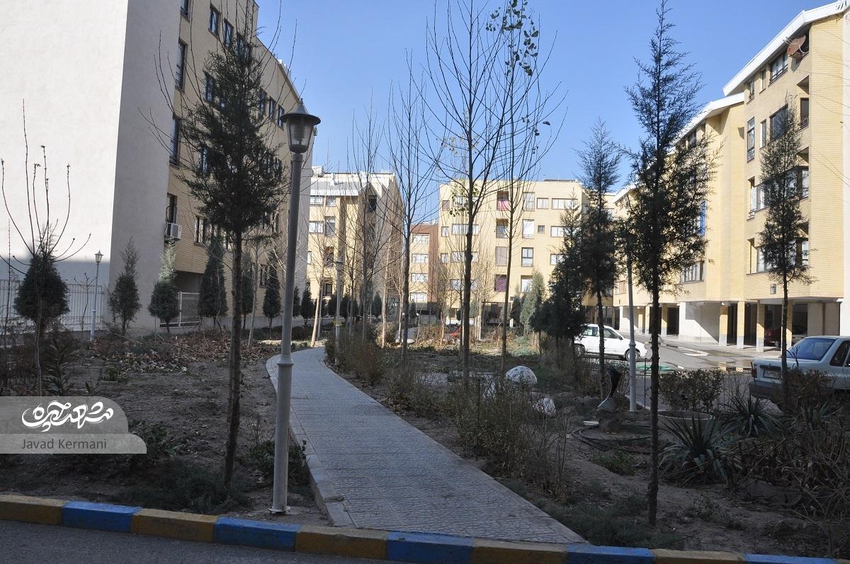 روابط همسایگی در «الماس» می‌درخشد!