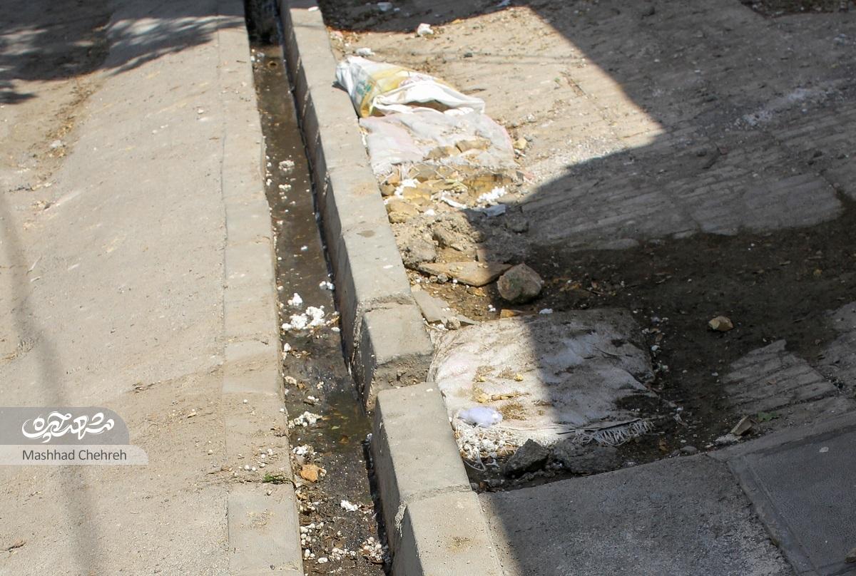 کوچهای با روضههای خانگی پر رونق کوچهای با روضههای خانگی پر رونق