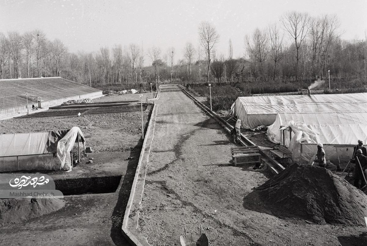 روزگار گود سلوک، مزرعه پشت دیوار مشهد