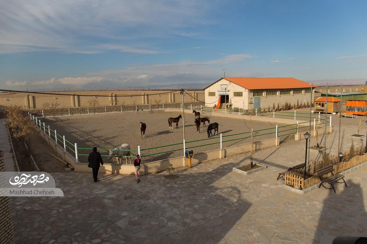 منطقه ۷، محدوده خوش و آب و هوا و دیدنی شهر مشهد منطقه ۷، محدوده خوش و آب و هوا و دیدنی شهر مشهد