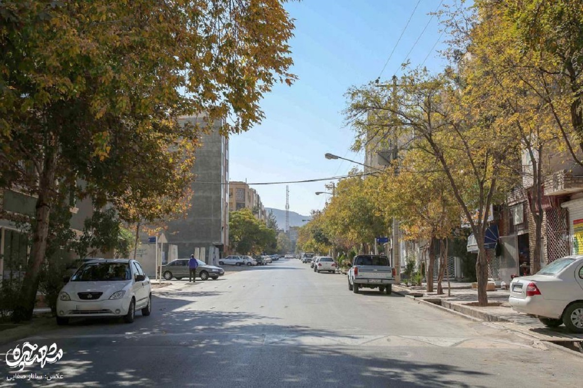 محله لادن؛ یادگار روستای پاچنار محله لادن؛ یادگار روستای پاچنار