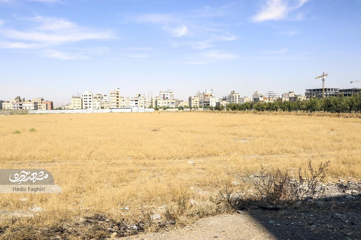 اولین ساکن امیریه هنوز صدای زنگوله گوسفندان در خاطرش هست اولین ساکن امیریه هنوز صدای زنگوله گوسفندان در خاطرش هست