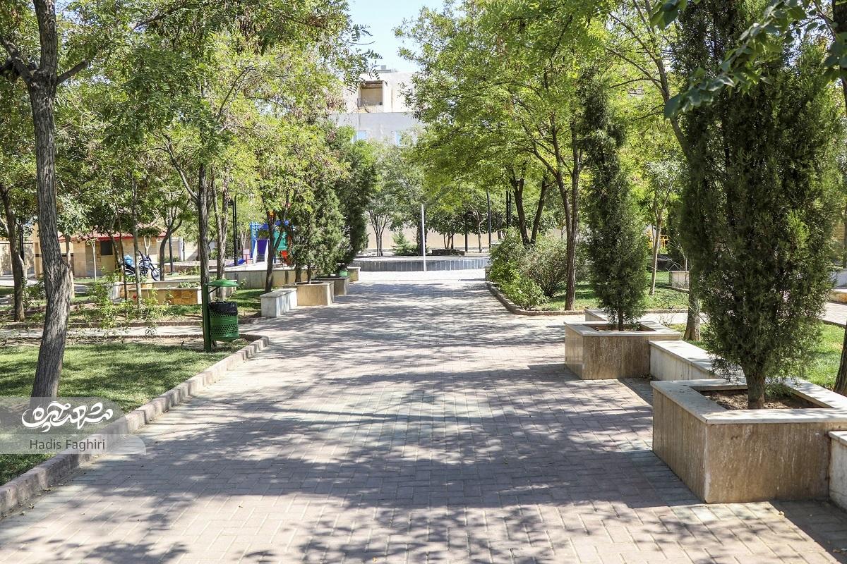 اولین ساکن امیریه هنوز صدای زنگوله گوسفندان در خاطرش هست اولین ساکن امیریه هنوز صدای زنگوله گوسفندان در خاطرش هست