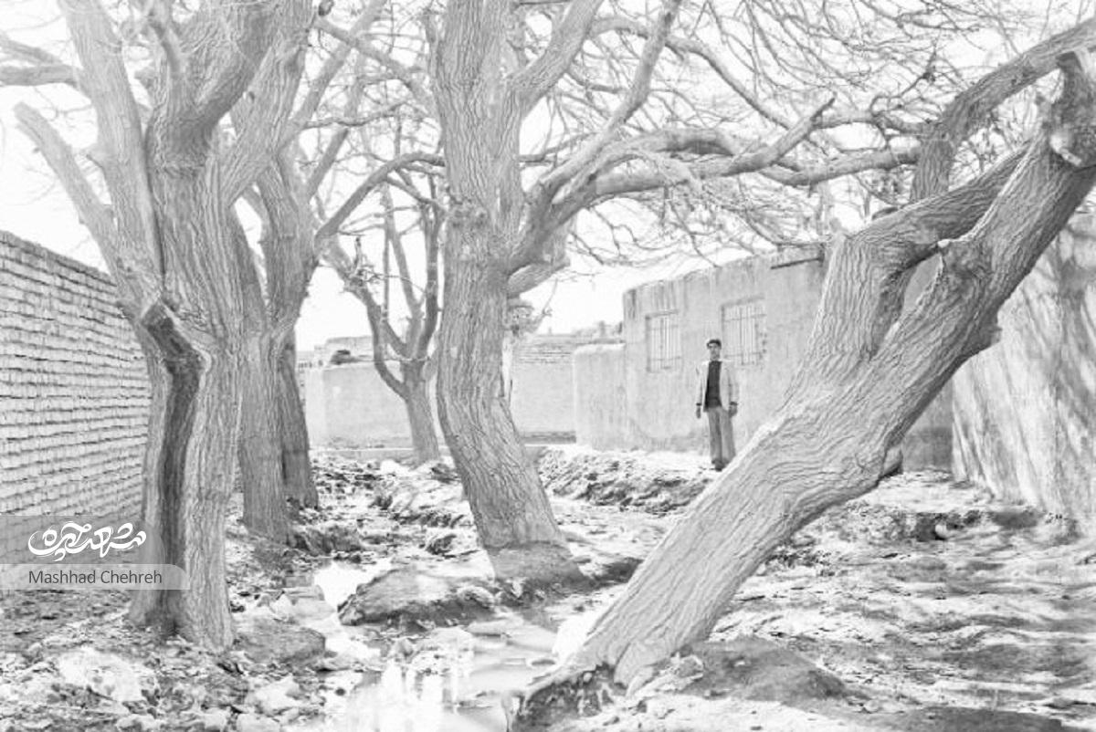 گشت‌وگذاری در پیشینه روستایی بسیار قدیمی در شرق مشهد