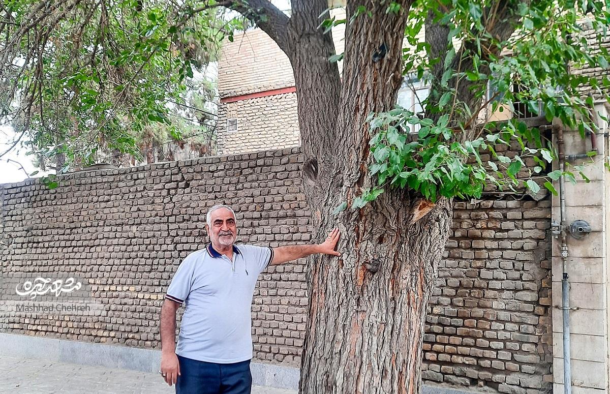 یکی از اولین ساکنان کوی پلیس از روند پیشرفت این محله میگویدبه نام شرکت نفت، به کام شهربانی یکی از اولین ساکنان کوی پلیس از روند پیشرفت این محله میگویدبه نام شرکت نفت، به کام شهربانی