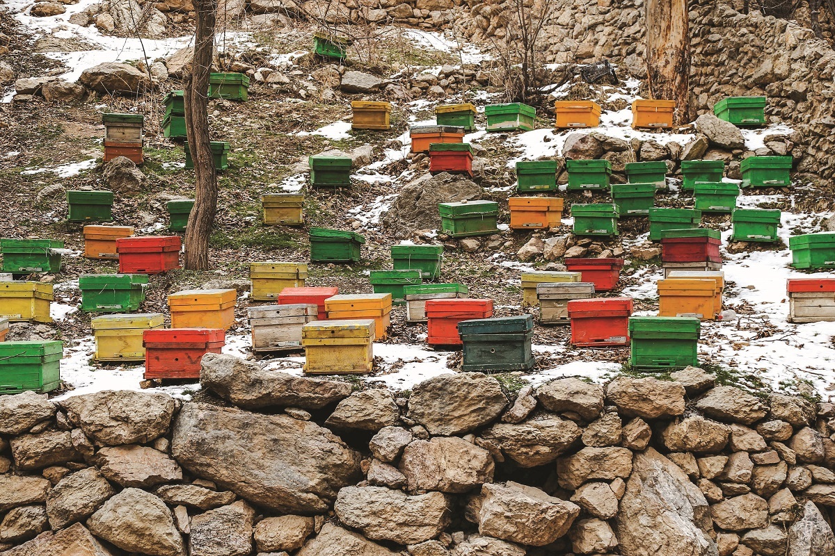 روزگاری اخلمد مهمترین تفریحگاه مشهدیها بود روزگاری اخلمد مهمترین تفریحگاه مشهدیها بود