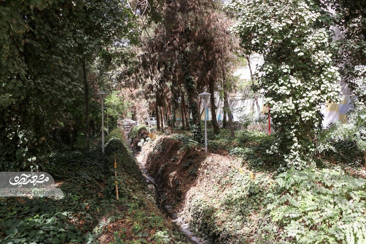 نوفل لوشاتو؛ محله خوش آبوهوای مشهد نوفل لوشاتو؛ محله خوش آبوهوای مشهد