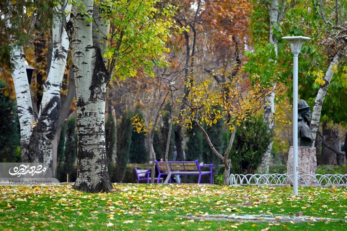 پارک ملت ساخته دست ایرانی هاست و انگلیسی ها نقشی نداشتند پارک ملت ساخته دست ایرانی هاست و انگلیسی ها نقشی نداشتند