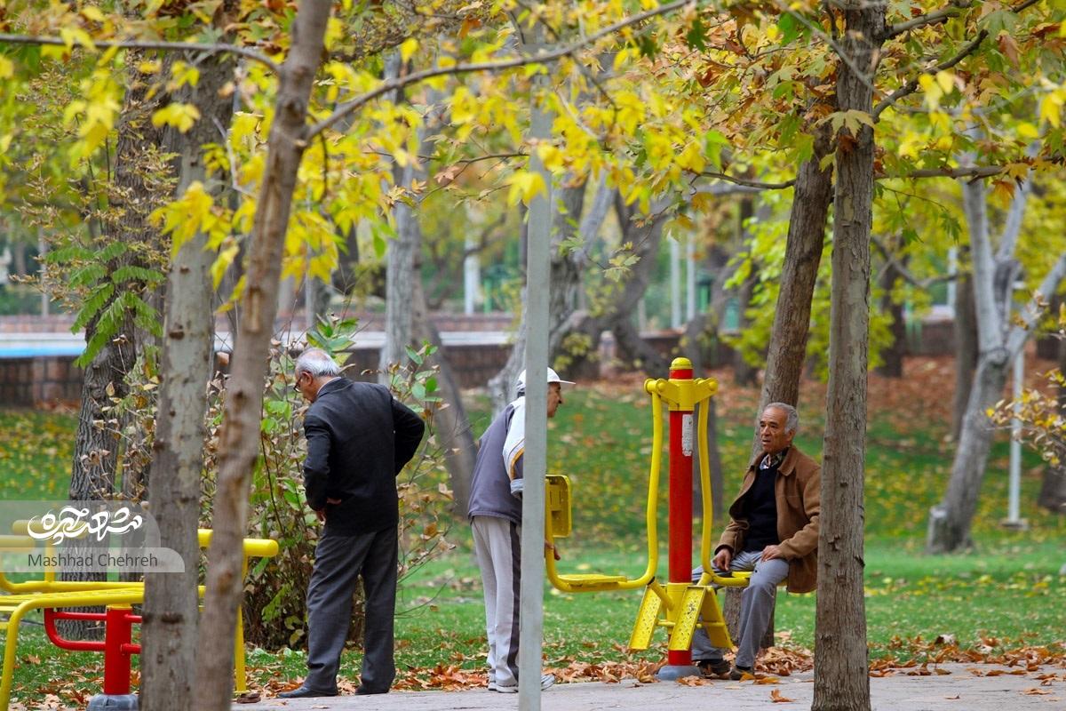 پارک ملت ساخته دست ایرانی هاست و انگلیسی ها نقشی نداشتند پارک ملت ساخته دست ایرانی هاست و انگلیسی ها نقشی نداشتند