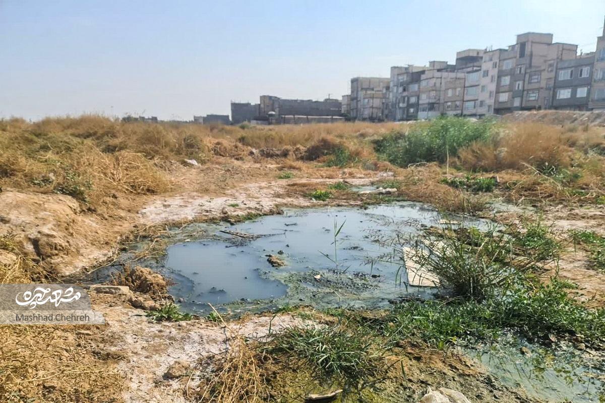 اهدای قطعه زمین ۲۵۰۰ متری برای ساخت مدرسه در محله نوید مشهد اهدای قطعه زمین ۲۵۰۰ متری برای ساخت مدرسه در محله نوید مشهد