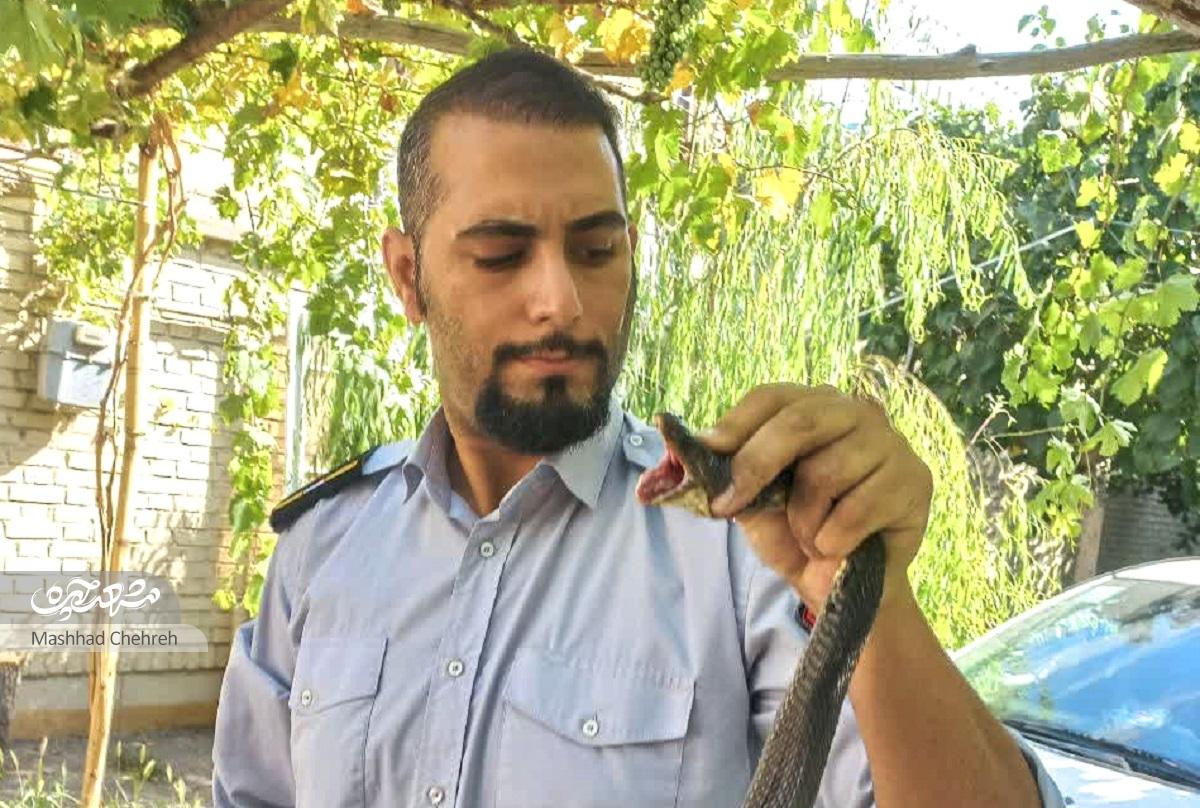 آتشنشانان ایستگاه شماره ۱۴ چالشهای متفاوتی را در محدوده کاری خود تجربه میکنند آتشنشانان ایستگاه شماره ۱۴ چالشهای متفاوتی را در محدوده کاری خود تجربه میکنند