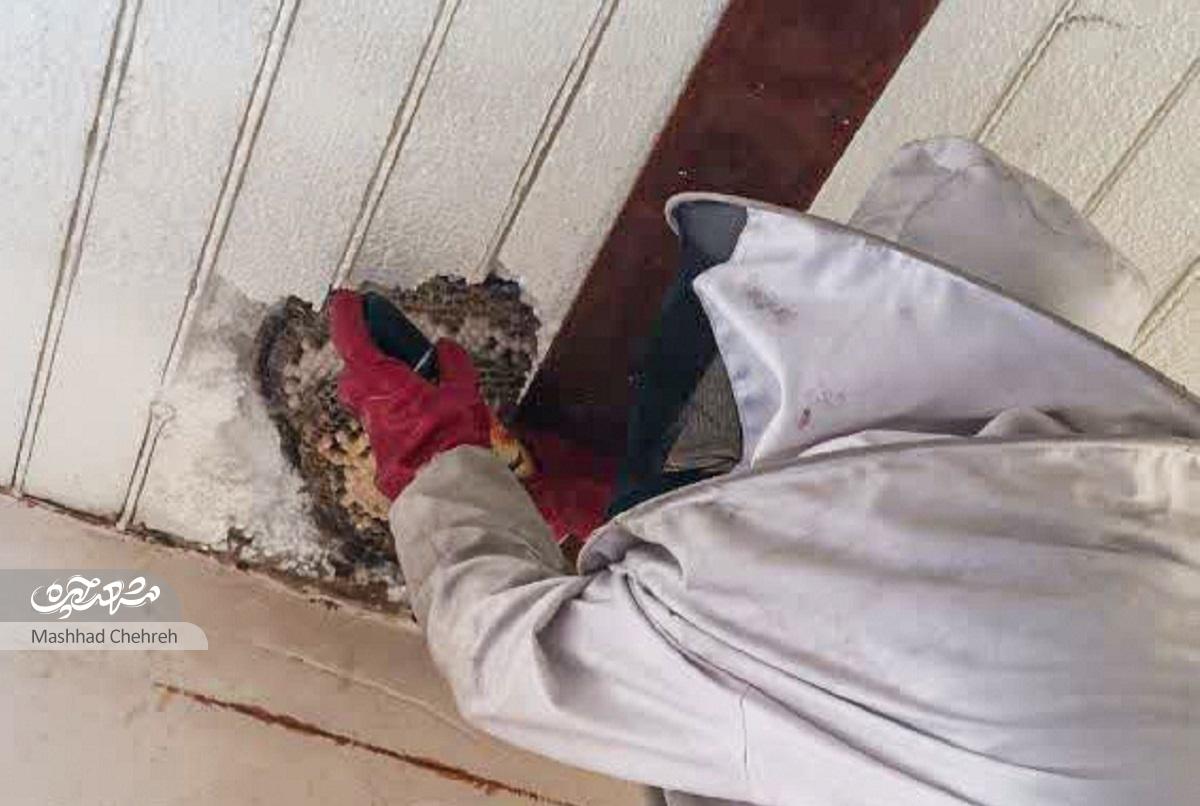 آتشنشانان ایستگاه شماره ۱۴ چالشهای متفاوتی را در محدوده کاری خود تجربه میکنند آتشنشانان ایستگاه شماره ۱۴ چالشهای متفاوتی را در محدوده کاری خود تجربه میکنند