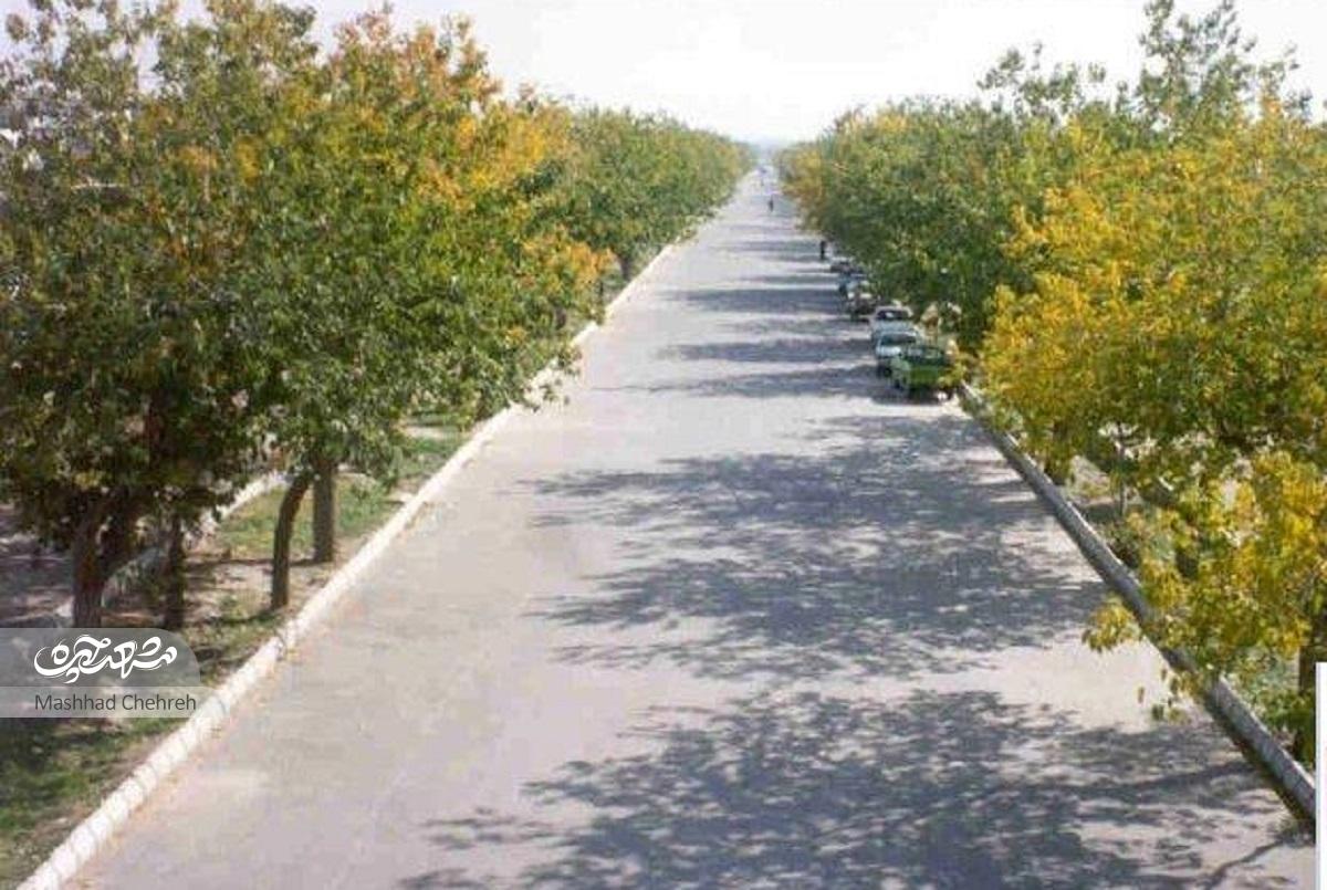 گشتی در قدیمیترین معبر محله دانشجو، همگام با محمدجلیل عرفانیان گشتی در قدیمیترین معبر محله دانشجو، همگام با محمدجلیل عرفانیان