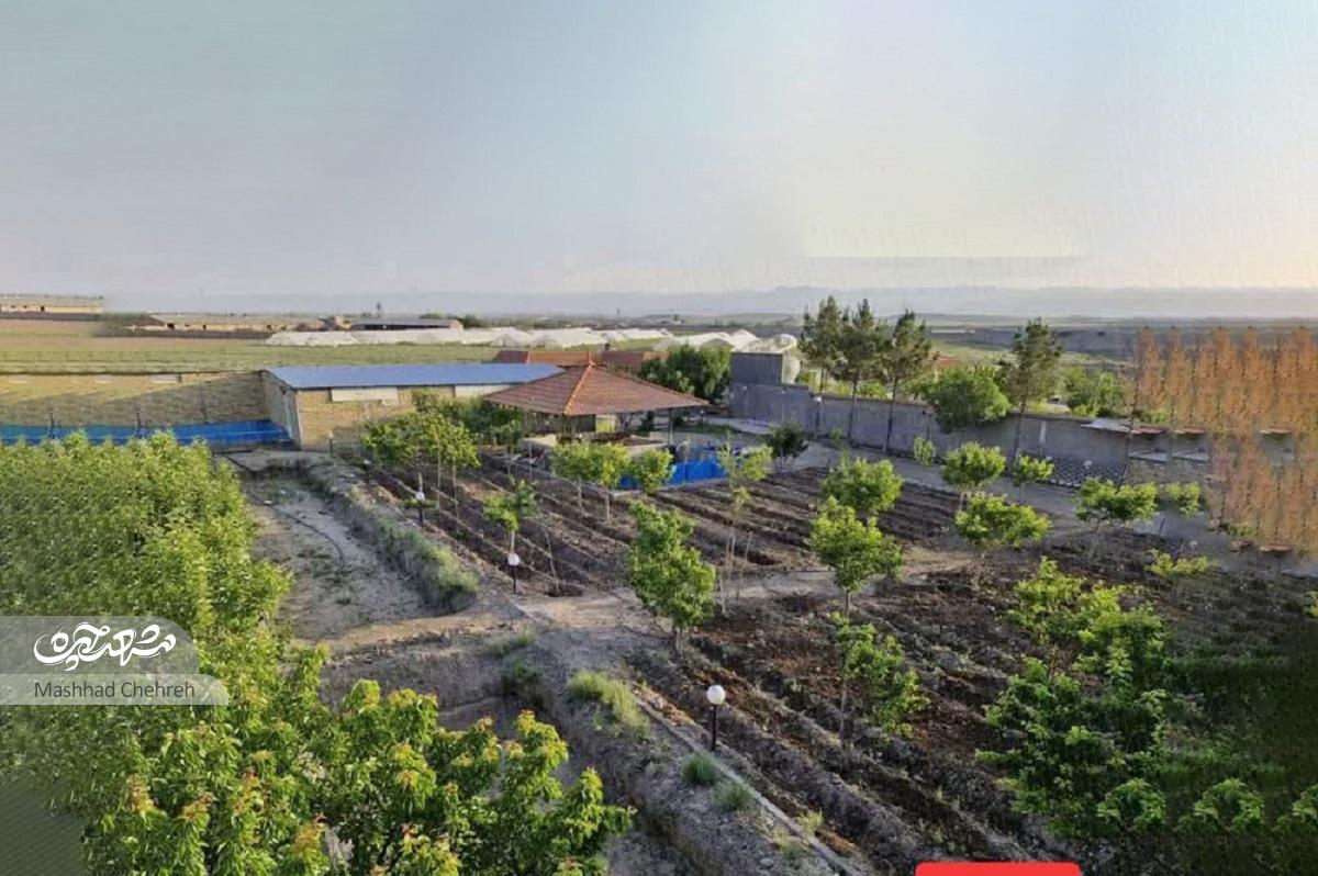 کمک ۳ خیّر مشهدی به جبهه مقاومت با اهدای زمین به ارزش ۱۲ میلیاردتومان کمک ۳ خیّر مشهدی به جبهه مقاومت با اهدای زمین به ارزش ۱۲ میلیاردتومان