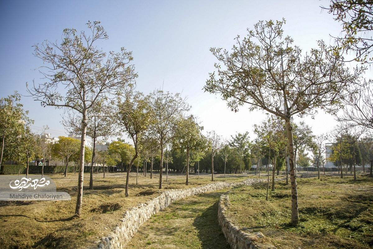 غلامرضا عنایتی شاهد پاگرفتن خیابان «علویه» بوده است