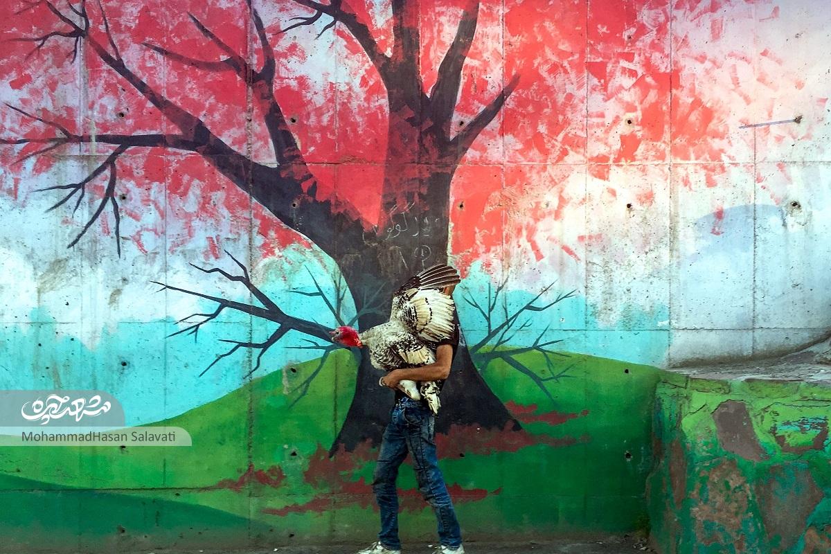 کشف قصه آدمها از دل شهر در عکسهای نسترن فرجادپزشک کشف قصه آدمها از دل شهر در عکسهای نسترن فرجادپزشک