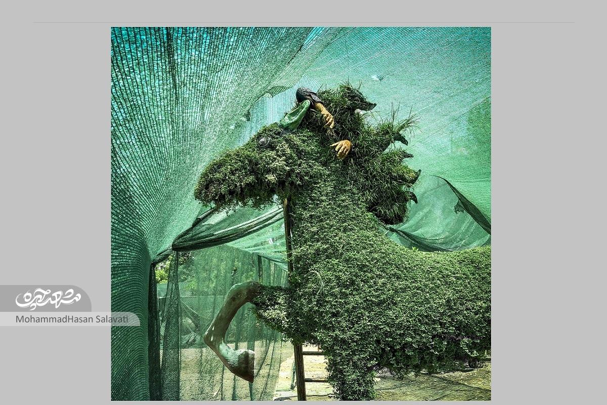 کشف قصه آدمها از دل شهر در عکسهای نسترن فرجادپزشک کشف قصه آدمها از دل شهر در عکسهای نسترن فرجادپزشک